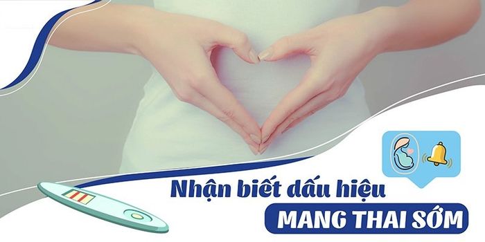 Các biểu hiện sớm của thai kỳ