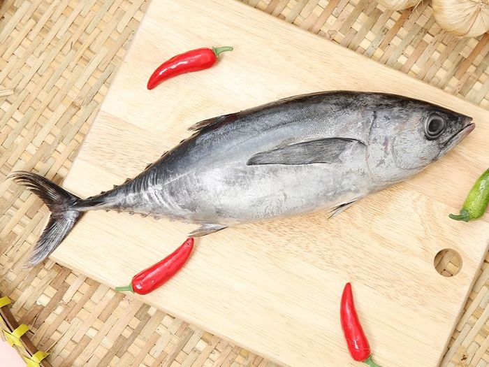 Cá ngừ với hàm lượng omega-3 giàu có làm lợi cho sự phát triển của não thai nhi