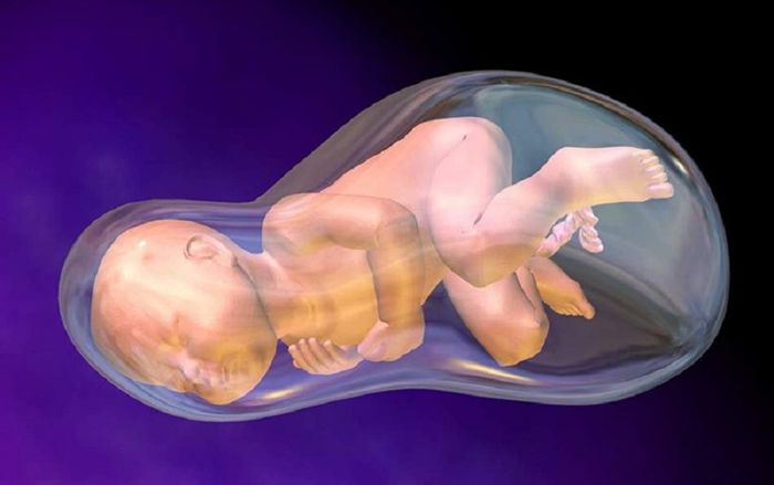Cạn ối xảy ra sớm càng nguy hiểm cho thai nhi.