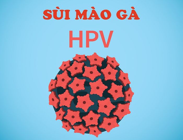 Hình dạng của virus HPV gây bệnh sùi mào gà