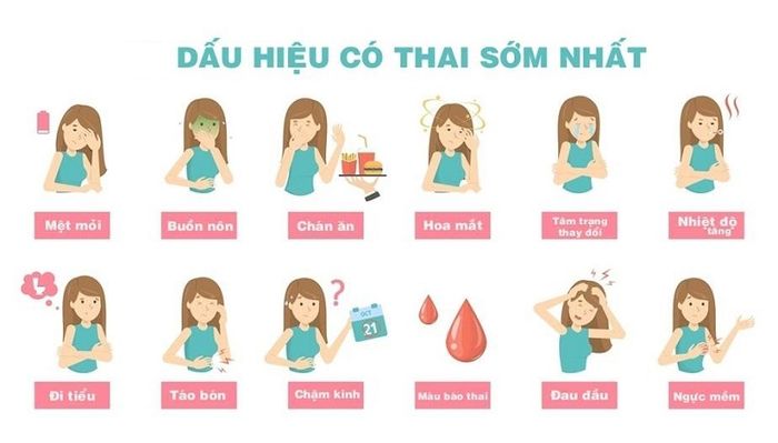 Phát hiện thai kỳ sớm qua các dấu hiệu của tuần đầu