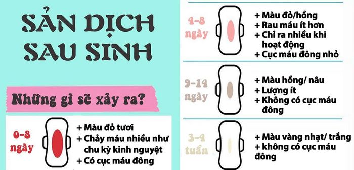 Sự biến đổi của sản dịch sau khi sinh 