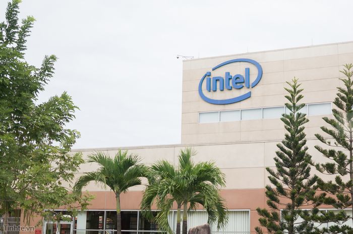 Tổ chức Intel