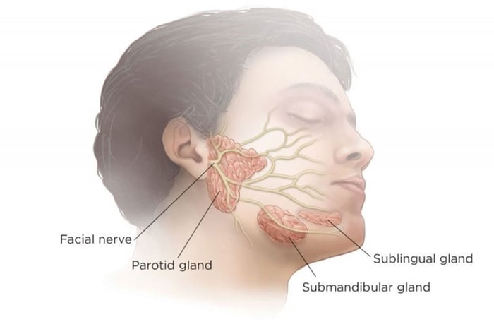 Bệnh viêm tuyến nước bọt là một vấn đề cần phải quan tâm