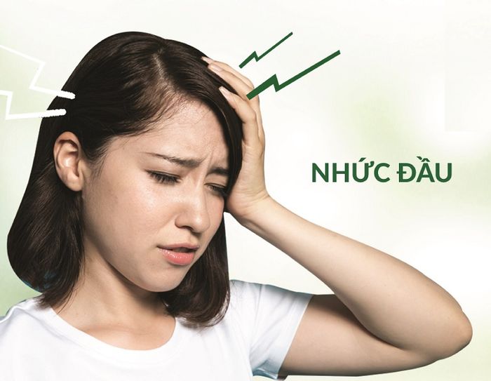 Tân Di hiệu quả trong việc giảm triệu chứng đau đầu trong viêm xoang mũi