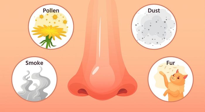 Các tác nhân gây dị ứng từ môi trường cũng có thể dẫn đến nghẹt mũi khi ngủ