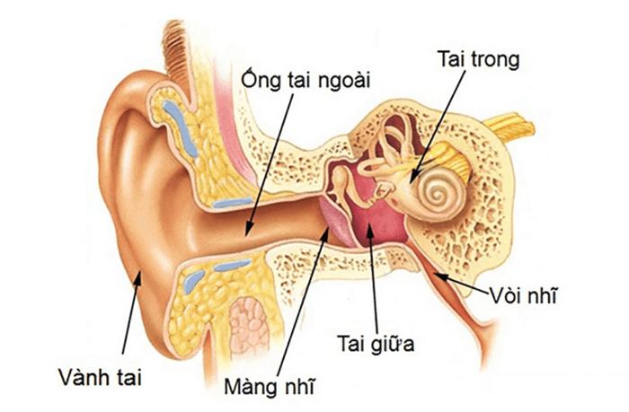 Viêm tai giữa ứ dịch có thể tự khỏi không