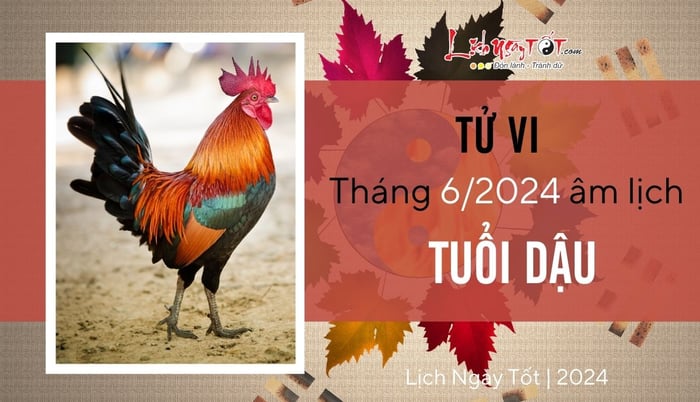 Tử vi tháng 6/2024 cho tuổi Dậu âm lịch