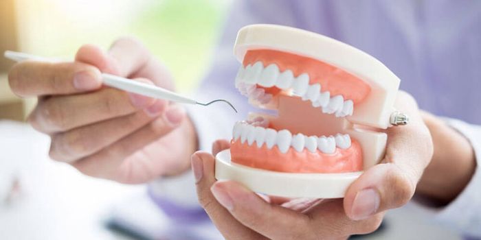 Tại sao lại có người không có răng khôn là điều mà nhiều bạn quan tâm