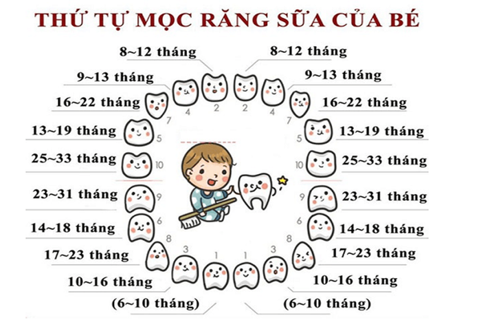 Đến năm 3 tuổi, trẻ sẽ đã có đủ 20 chiếc răng sữa