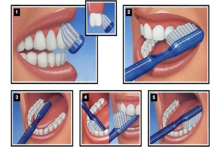 Hướng dẫn cách đánh răng đúng cách