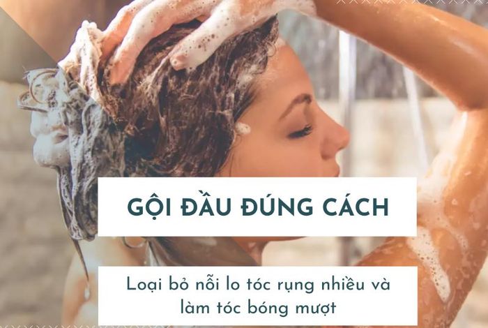 Gội tóc đúng cách sẽ làm tóc óng mượt, giảm gãy rụng hiệu quả