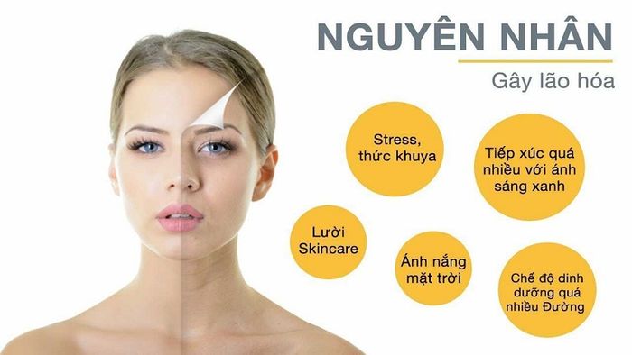 Một số nguyên nhân thường gặp gây ra quá trình lão hóa da