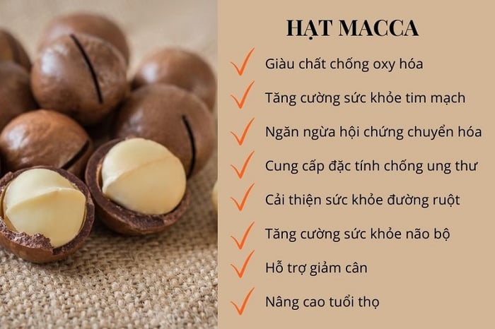 Những lợi ích tiêu biểu của quả mắc ca đối với sức khỏe