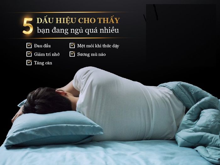 Dấu hiệu của việc ngủ quá nhiều