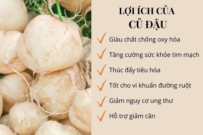 Giải đáp về vấn đề: củ đậu có tác dụng gì