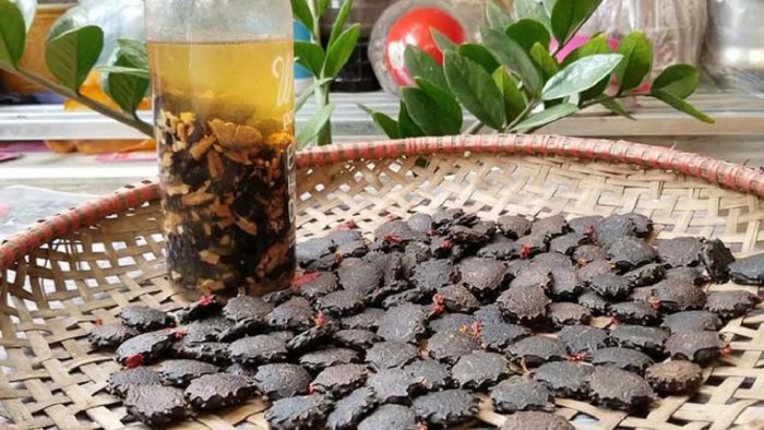 Rượu hạt gấc mang nhiều lợi ích cho sức khỏe