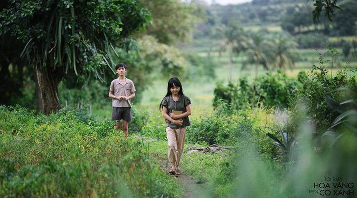 'Tôi Thấy Hoa Vàng Trên Cỏ Xanh': Tinh Hoa của Du Lịch và Nghệ Thuật