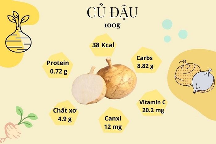 Thành phần dinh dưỡng trong 100g củ đậu