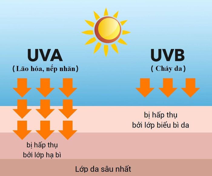 Tia UV kích thích sản xuất melanin làm da đen