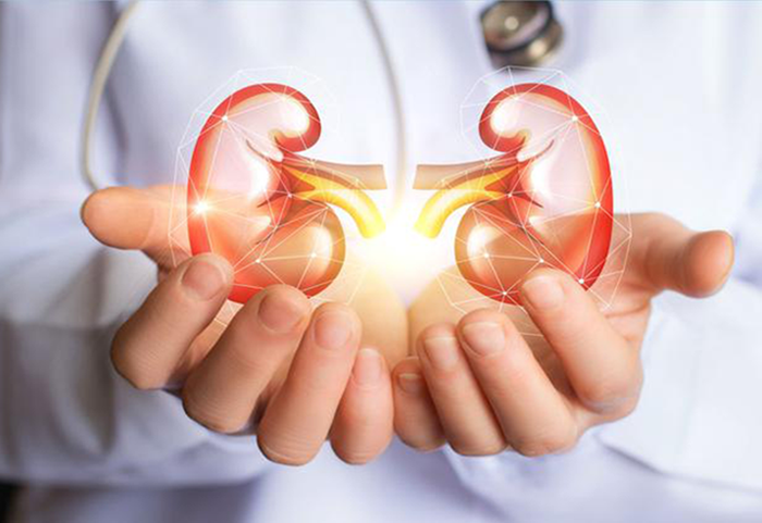 Bệnh suy thận mang lại rất nhiều rủi ro