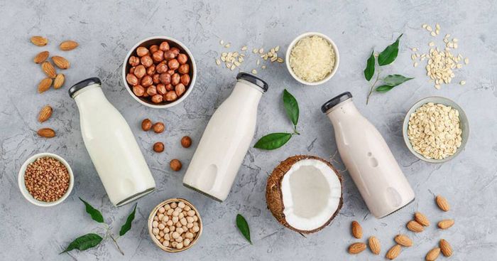 Sữa hạt giàu chất đạm và phù hợp cho người dị ứng lactose