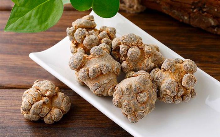 Cần đặt củ tam thất bắc vào tủ lạnh để bảo quản tốt nhất.