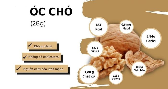 Giá trị dinh dưỡng cơ bản của quả óc chó