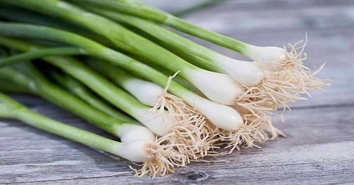 Hành lá thường được sử dụng trong nhiều món ăn của người Việt