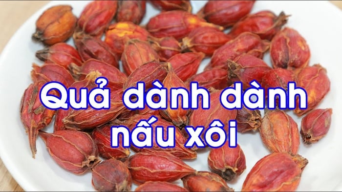 Quả của cây dành dành thường được sử dụng để nhuộm màu và làm đẹp cho thực phẩm