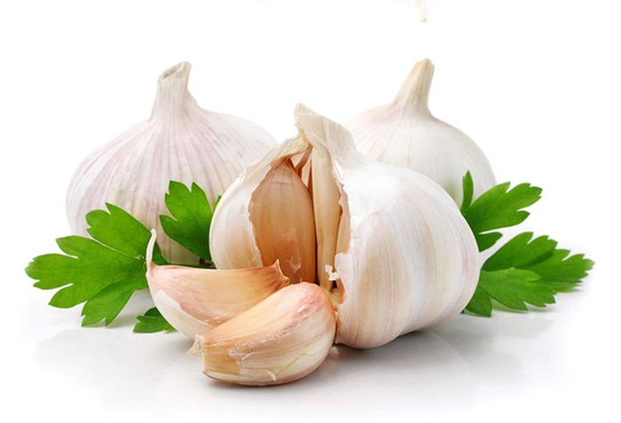Tỏi mang lại nhiều lợi ích cho sức khỏe