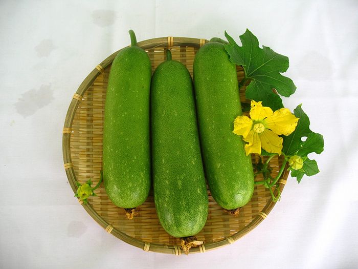 Cải bí đỏ