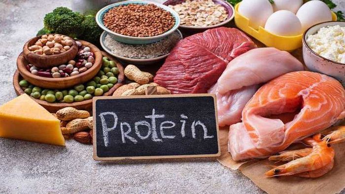 Các nguồn thực phẩm giàu protein nên được bao gồm trong khẩu phần ăn hàng ngày như thịt, trứng, cá, và các loại hạt ngũ cốc.