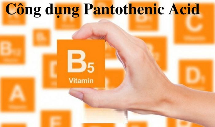 Vitamin B5 mang lại nhiều lợi ích cho sức khỏe