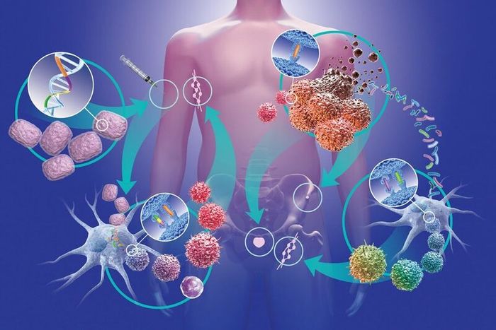 Vitamin B2 có hiệu quả trong việc ngăn ngừa một số loại bệnh ung thư