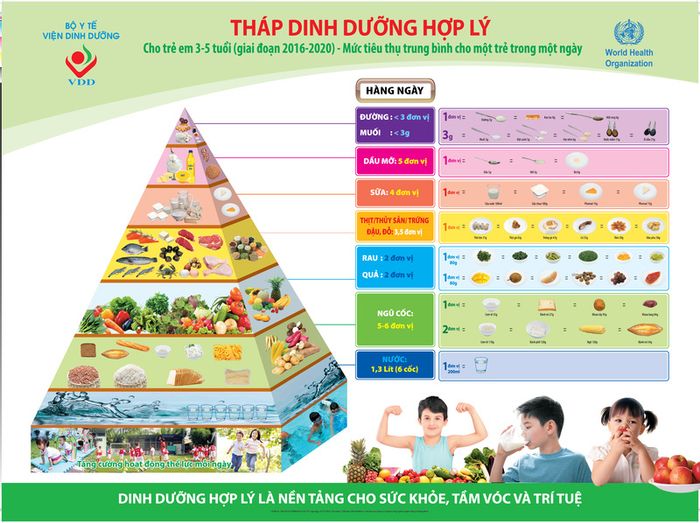 Chế độ dinh dưỡng cho trẻ 3 đến 5 tuổi theo hướng dẫn của Bộ Y tế