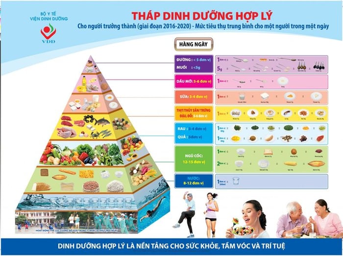 Tháp dinh dưỡng dành cho người trưởng thành