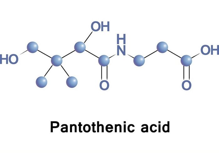 Công thức hóa học của vitamin B5