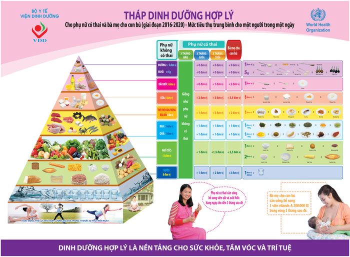 Hướng dẫn dinh dưỡng cho phụ nữ mang thai giúp mẹ xác định lượng thức ăn cần bổ sung