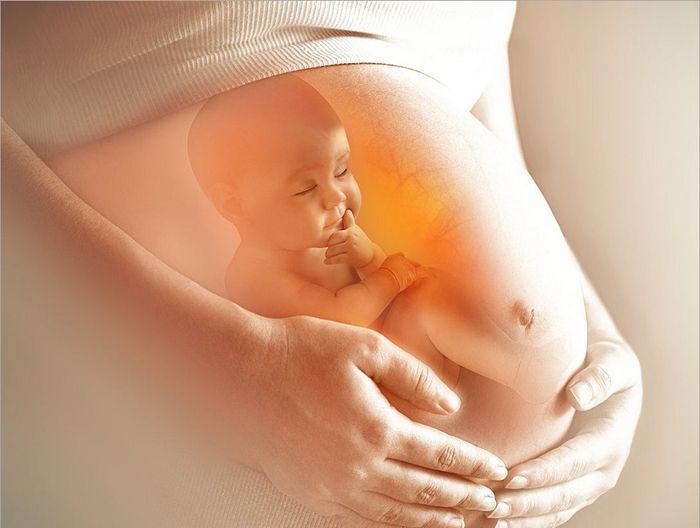 From the 20th week of pregnancy, mothers can feel the baby's movements clearly