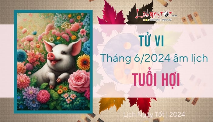 Dự báo tử vi tháng 6/2024 cho người tuổi Hợi theo lịch âm.