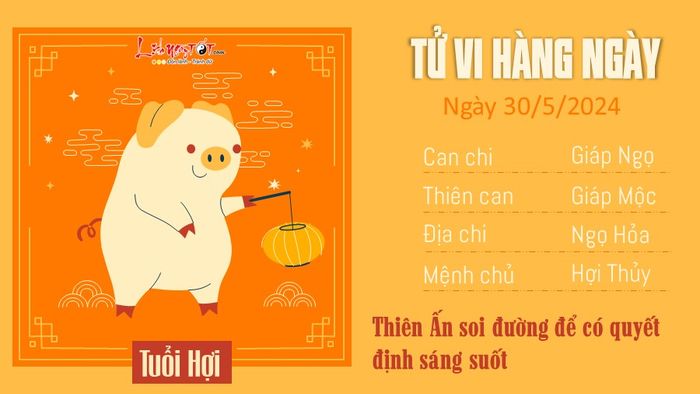 Tu vi cho ngày 30/5/2024 của 12 con giáp - tuổi Hợi