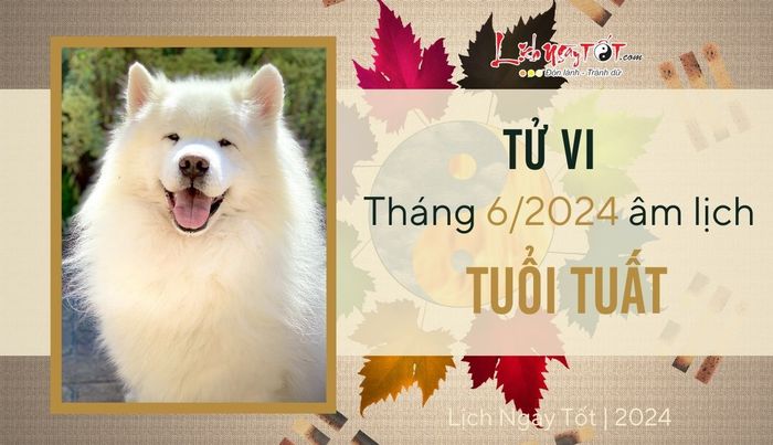 Tu vi tháng 6/2024 cho tuổi Tuất âm lịch