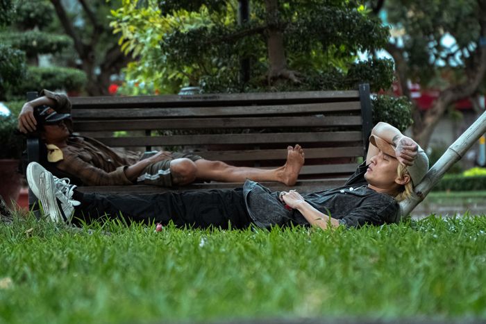 Ý tưởng đến với Damaniac đến một cách bất ngờ và hiện hữu trong mọi thời điểm - Ảnh: NVCC