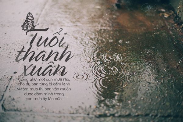 Thanh xuân giống như cơn mưa rào, dù có khiến ta cảm lạnh nhưng đôi khi lại làm ta cảm thấy hạnh phúc và sảng khoái.