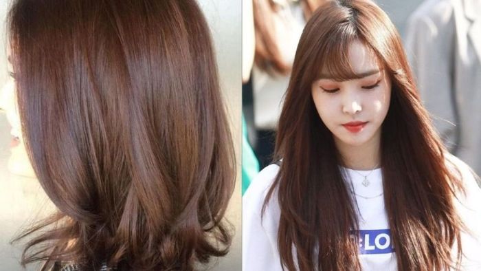 Màu nâu socola phiên bản 3