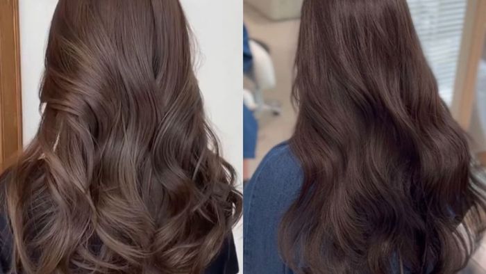Màu nâu socola phiên bản 4