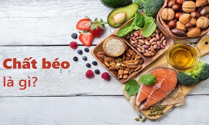 Cần Hiểu Vai Trò Của Chất Béo Trong Cơ Thể Là Gì Để Sử Dụng Đúng Cách
