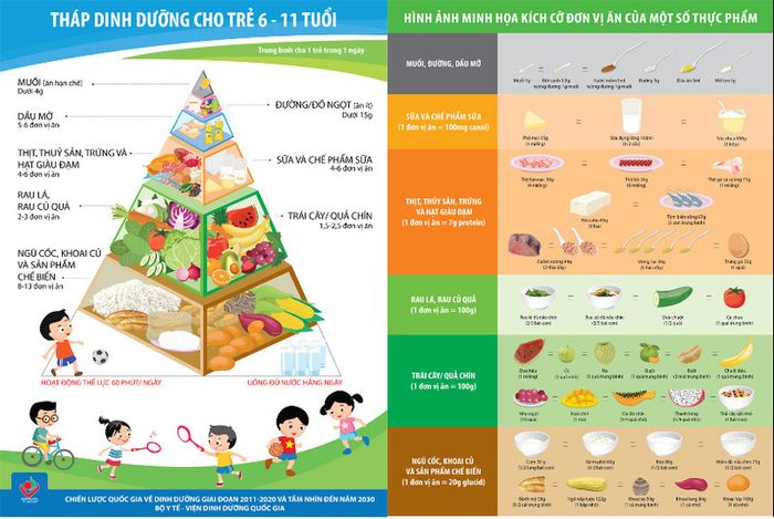 Tháp dinh dưỡng cho trẻ từ 6 - 11 tuổi