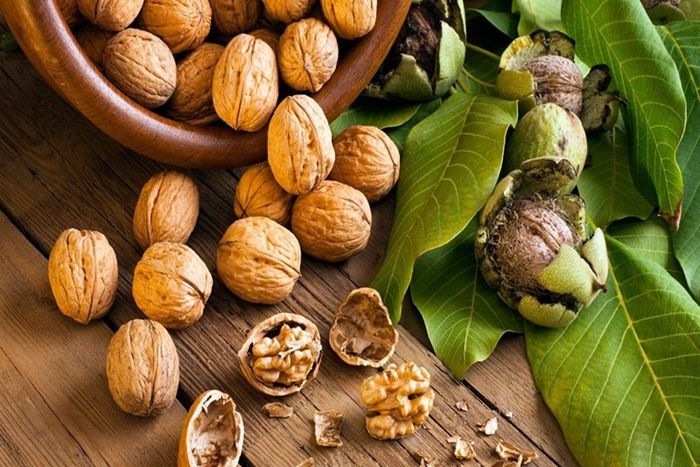 Quả óc chó tăng cường sức khỏe tóc và làm tóc mềm mại.
